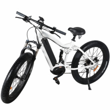 Middle Motor Electric Mountain Bicycle with Fat Tire